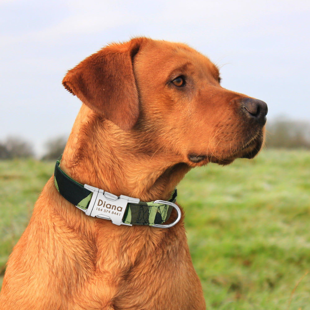 GEPERSONALISEERDE Halsband - Inclusief naam voor honden - WOEF Boetiek