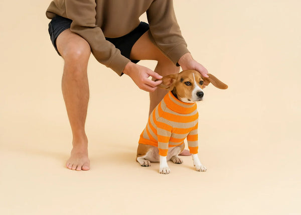 Hondenhoek online top beauty blog voor honden met kleding van Zara H&M Prada online kopen met korting