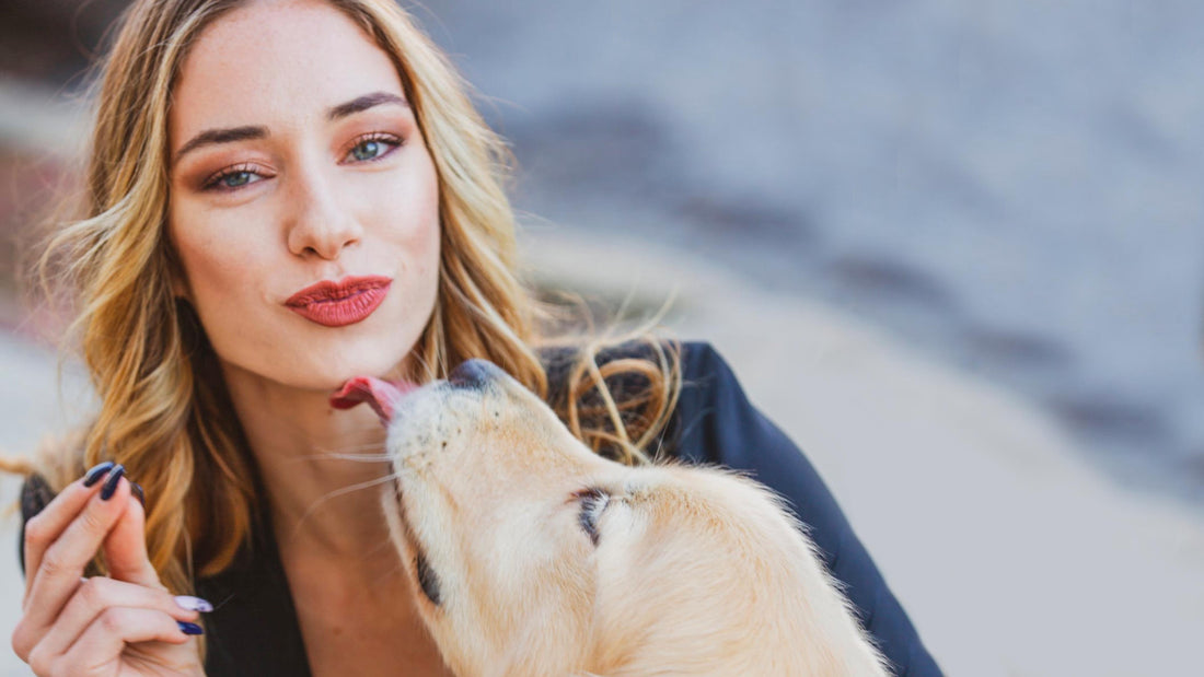 Vrouw hond likken gezicht waarom blog online hondenwinkel woef