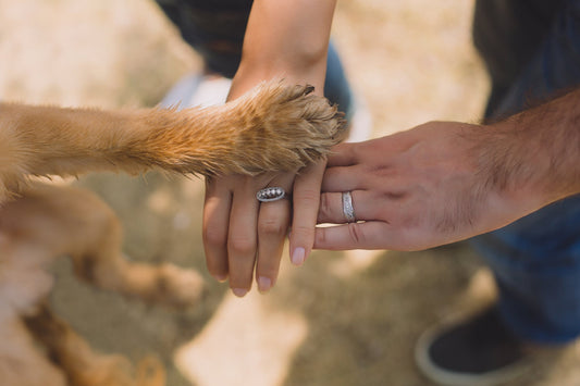 Honden nagelknipper gezondheid kopen online woef boetiek