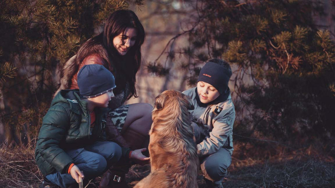 Spelen met hond huisdier familie bos foto kopen
