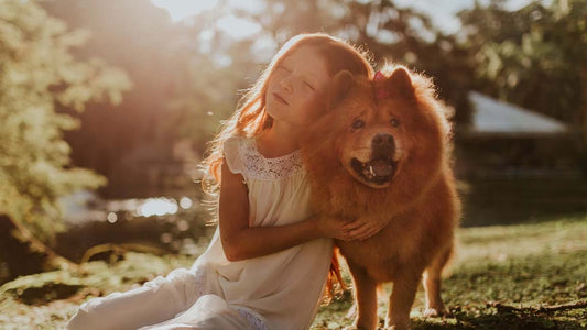 Blog Online Honden Gezond Kinderen Opgroeien Samen