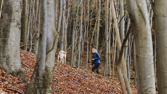 Dansen en Honden: Hondenhoek Interview met Sabine Van Houten - Blog