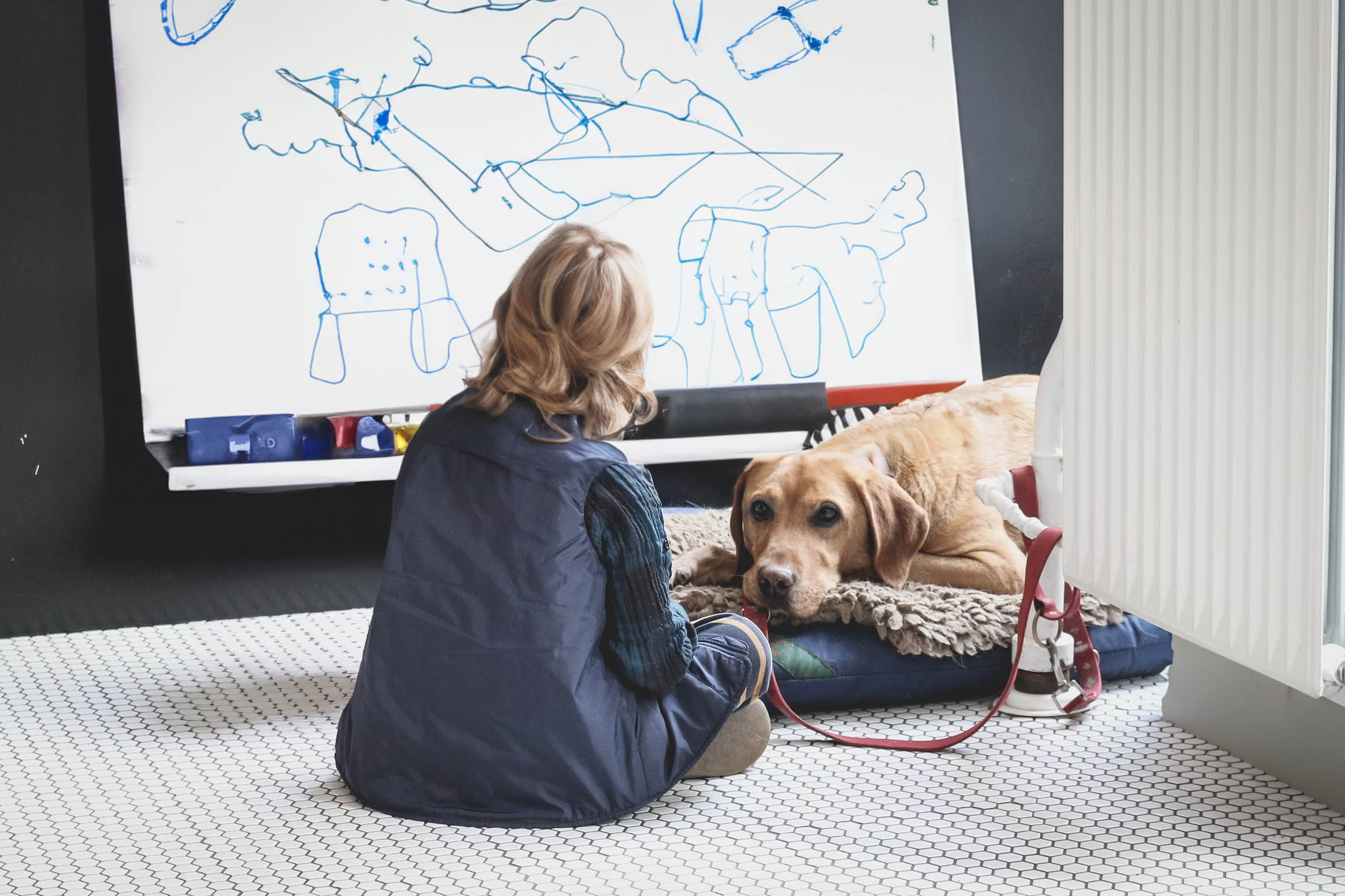 Geleidingsapparaat voor blinde honden, harnas voor slechtziende Geleidingsapparaat voor blinde honden, harnas voor slechtziende