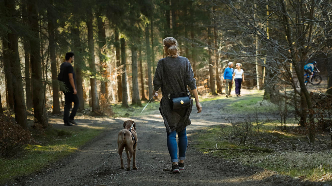 Herontdek de Wandelpassie van uw Hond - Hondenhoek Online Blog