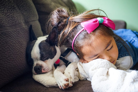 Waarom U Een Stofzuiger voor Honden Zou Moeten Aanschaffen - WOEF Blog Hondenhoek de online winkel voor hond en baasje Anny Shah