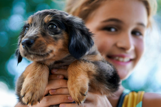De 10 meest populaire hondennamen van dit moment - Hondenhoek.com