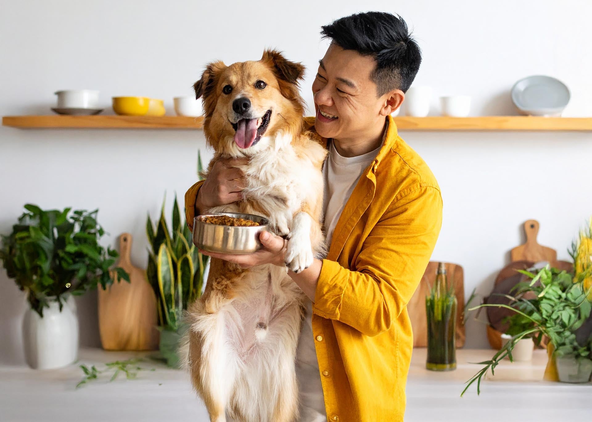 Dog food