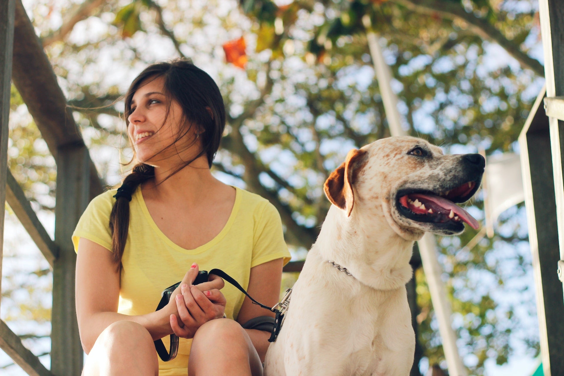 Nieuwe Producten voor uw Hond - de Hondenhoek: Alles voor uw hond