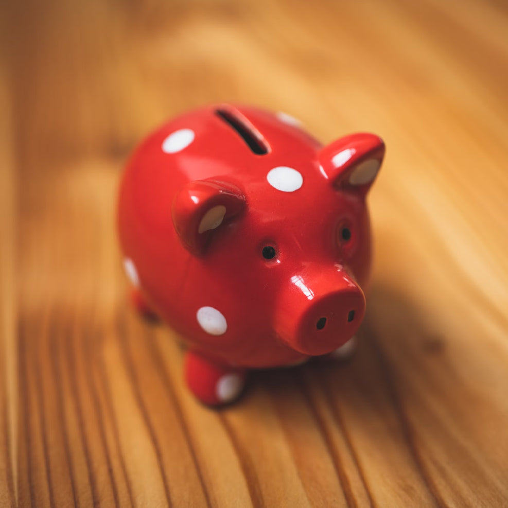 Geld Sparen voor Prachtige Ideeën - Spaarpotten op de Hondenhoek