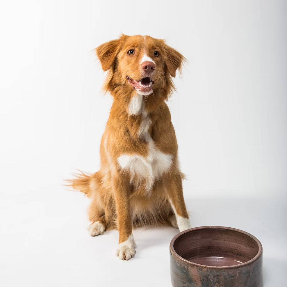 Geperst hondenvoer - Geschikt voor ieder hondenras Brok op Hondenhoek