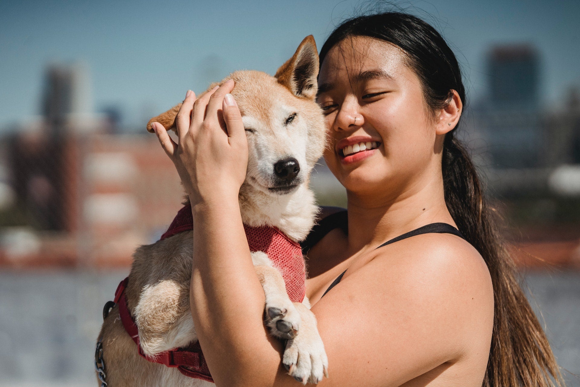 Verzorging voor Uw Hond - Hondenverzorging - de Hondenhoek