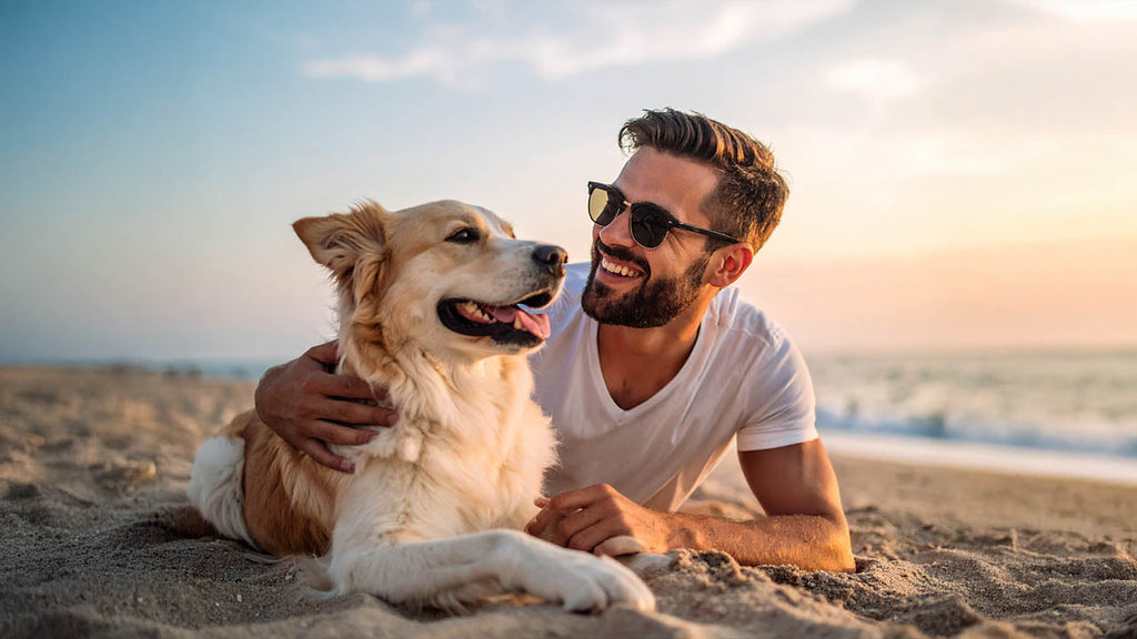 Shop op Prijs: 30-50 euro - Ideale cadeaus - Hondenhoek: Hond & baasje