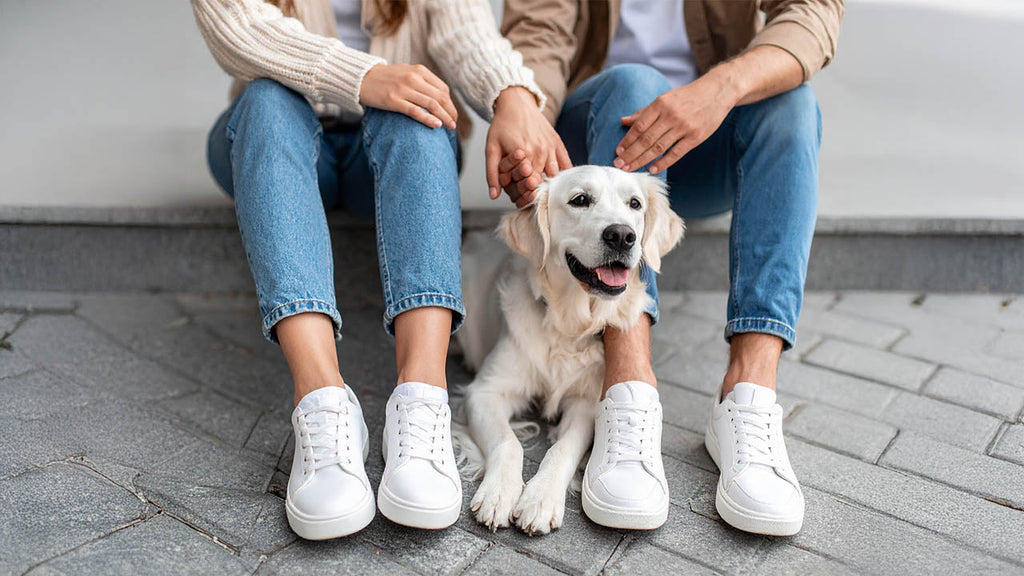 Shop op Prijs: 20-30 euro - Leuke cadeaus - Hondenhoek: Hond en Baasje