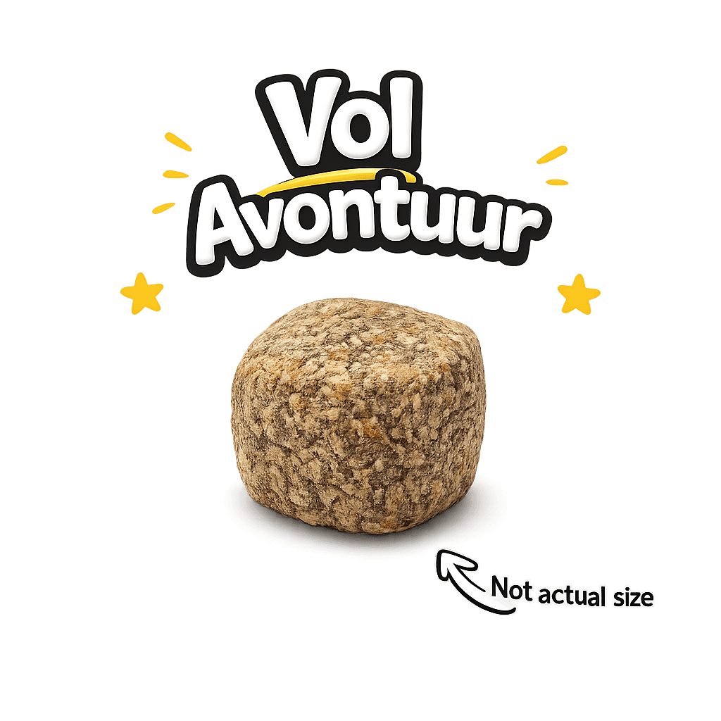 Adulte Actif