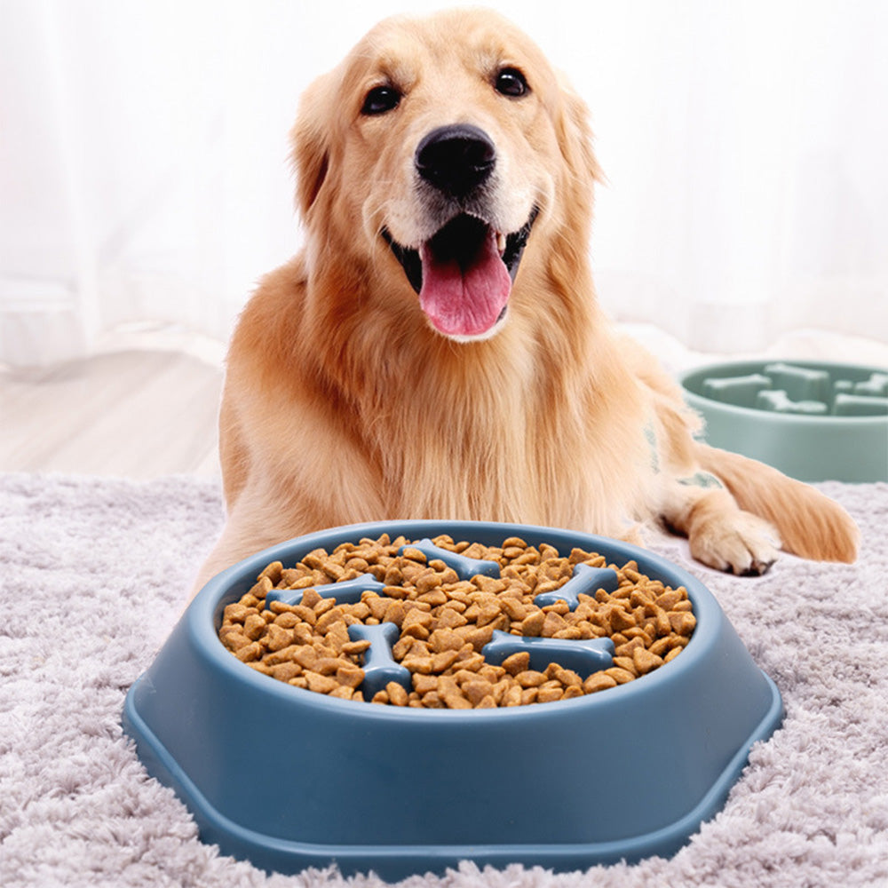 PETZZ Premium Slow Feeder - De ideale oplossing voor hondenvoer!