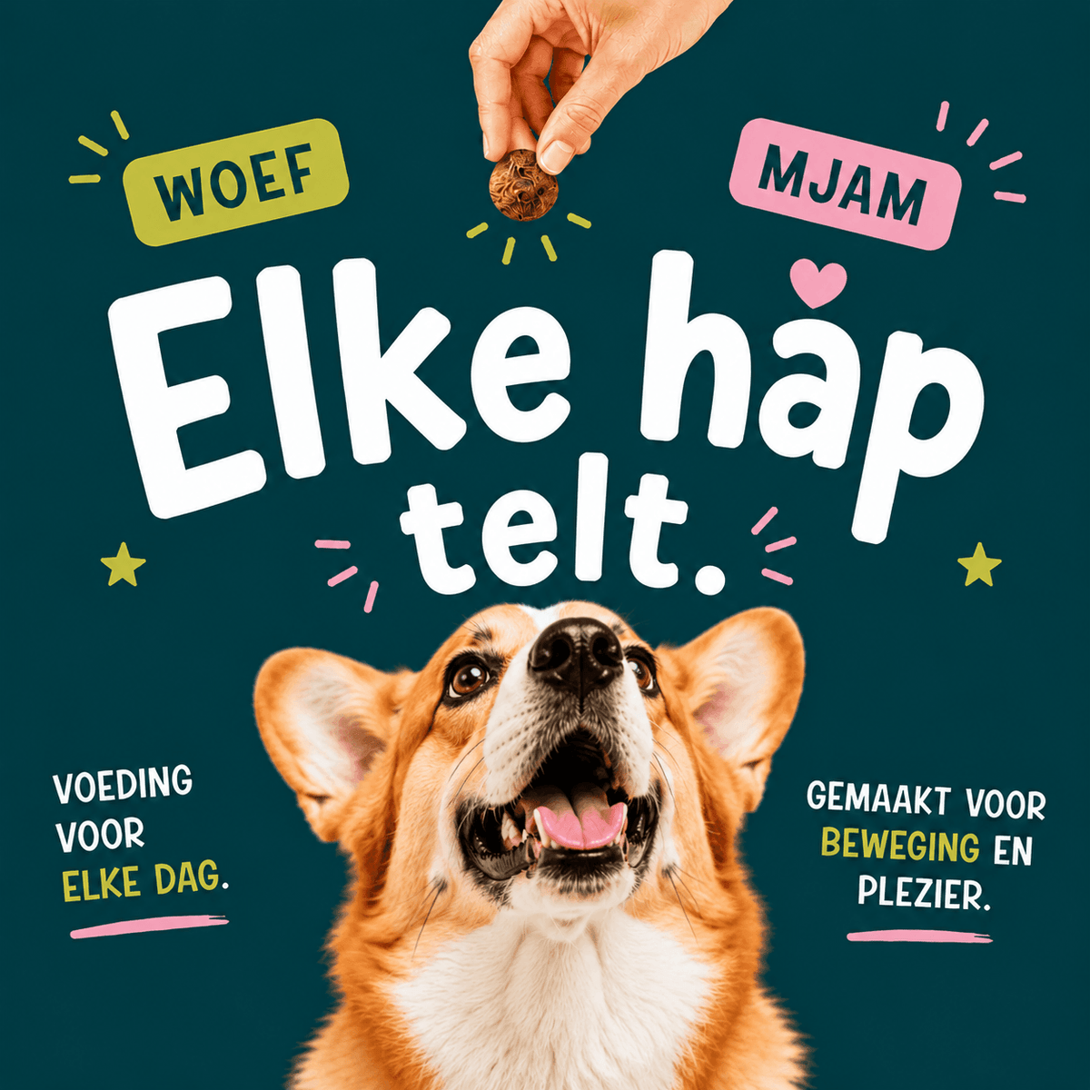 Hondenhoek promotie