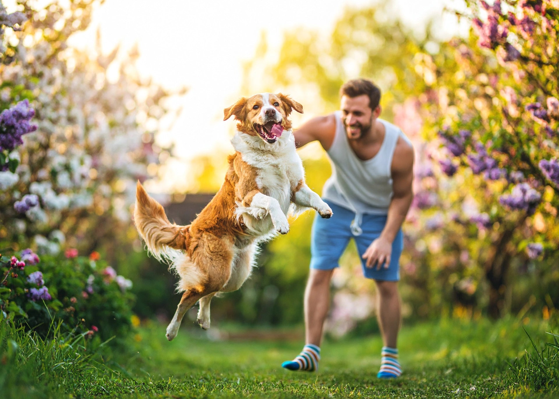 Hondenhoek PETZZ™ Luxe Deken 1+1 Gratis actie: voeg twee honden dekens toe aan uw winkelwagen, tweede deken gratis, combineren van maten en kleuren mogelijk, geldig tot 31/08/2025