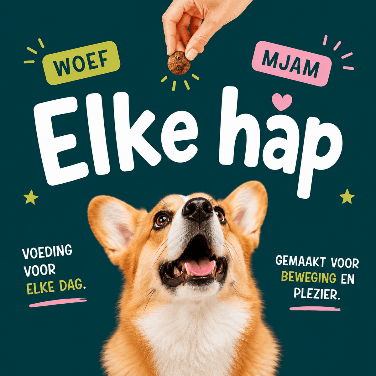 Hondenhoek promotie
