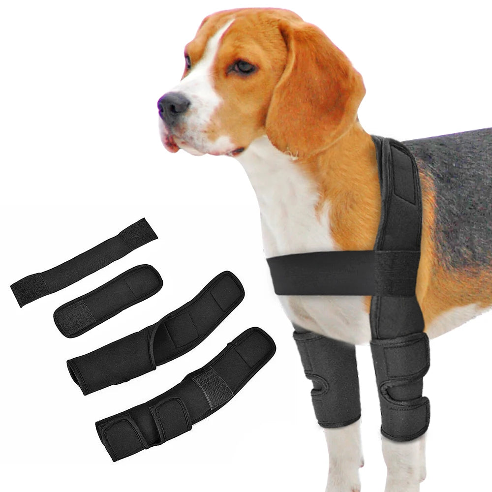 PETZZ Kniebrace - Medihoek - Hulpmiddelen voor uw hond online kopen - Hondenhoek online winkel voor hond en baasje!