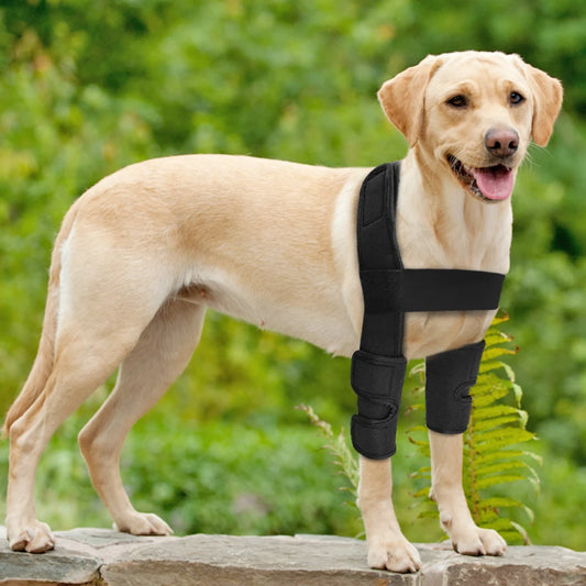 PETZZ Kniebrace - Medihoek - Hulpmiddelen voor uw hond online kopen - Hondenhoek online winkel voor hond en baasje!