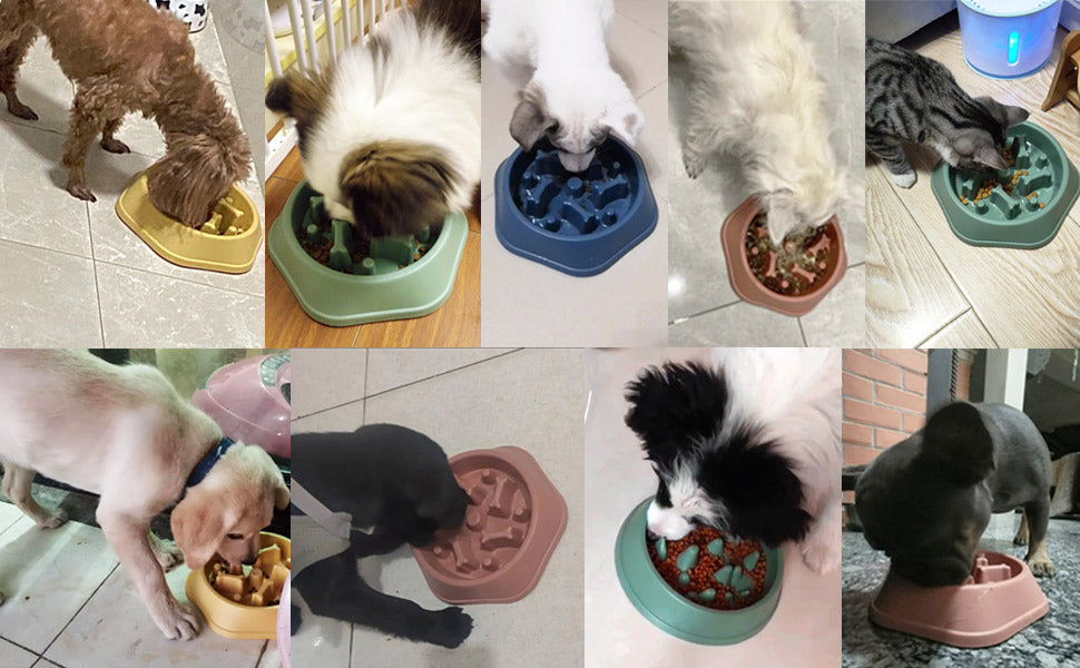 PETZZ™ Premium Slow Feeder