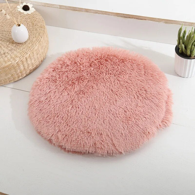PETZZ™ Comfortabel Hondentapijt