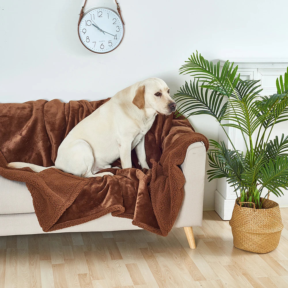 SnugSafe Waterproof Deken - Dekens en Manden voor Honden - Hondenhoek