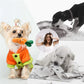 PETZZ Zachte Knuffels Pakketten - Honden Speeltjes voor Veel Plezier
