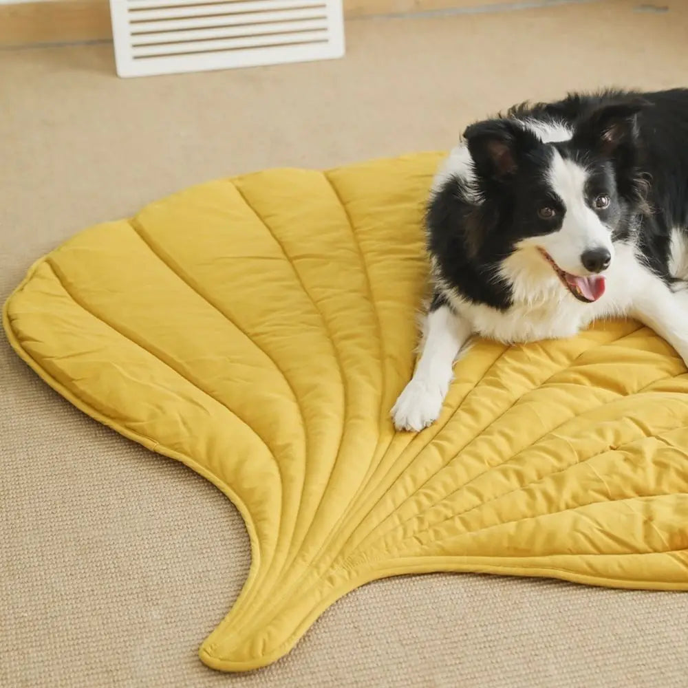 PETZZ™ bladvorm mat in slaapkamer met slapende hond