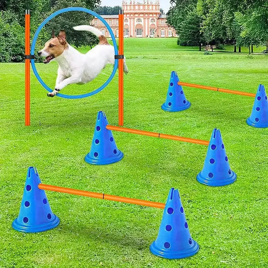 PawsInMotion Training Obstakels - Mix van Spel en Oefening - Honden