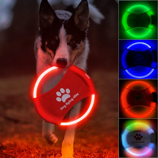 Nachtelijk Plezier: LumiPaws Lichtgevende Frisbee - USB-Oplaadbaar