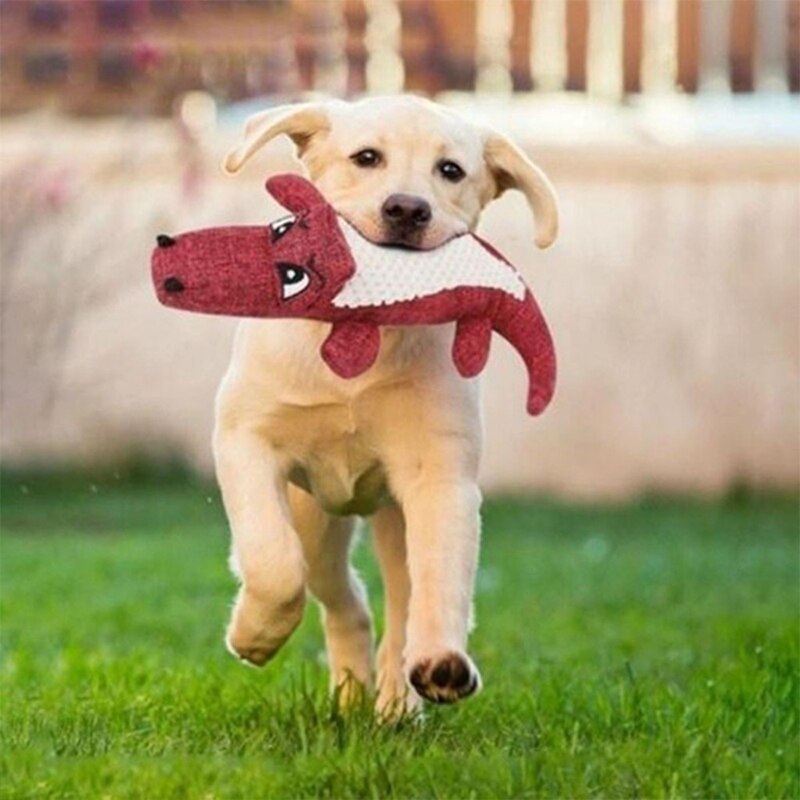PETZZ Krokodil Knuffel - Stoer speelgoed voor uw hond - Online kopen
