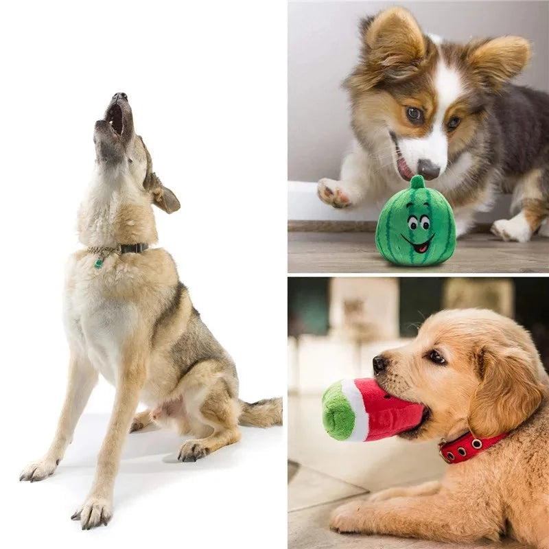 PETZZ Zachte Knuffels Pakketten - Honden Speeltjes voor Veel Plezier