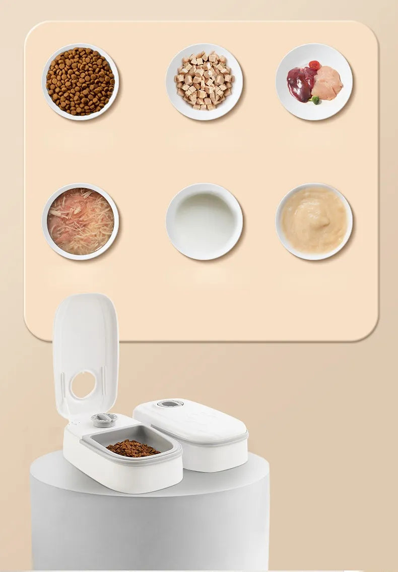 PETZZ™ Automatic Feeder with Timer