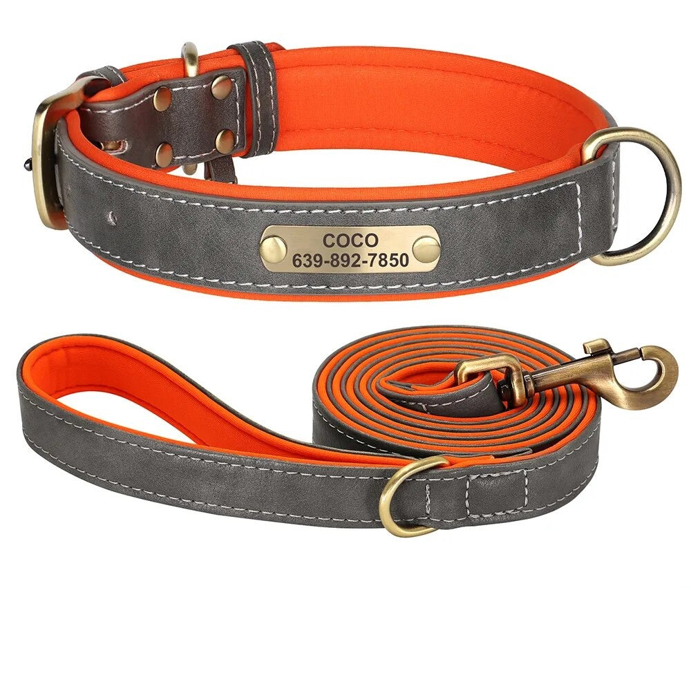 PETZZ Personal Halsband en Lijn Set - Stijlvol Wandelen met Uw Hond