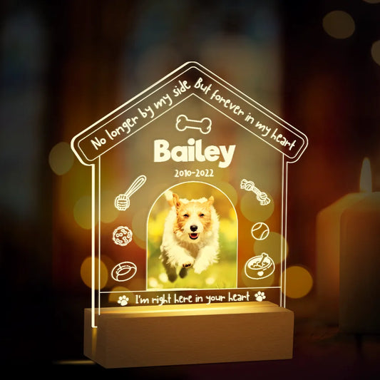 PETZZ Gedenkstuk met Verlichting - Herdenk uw huisdier - Hondenhoek