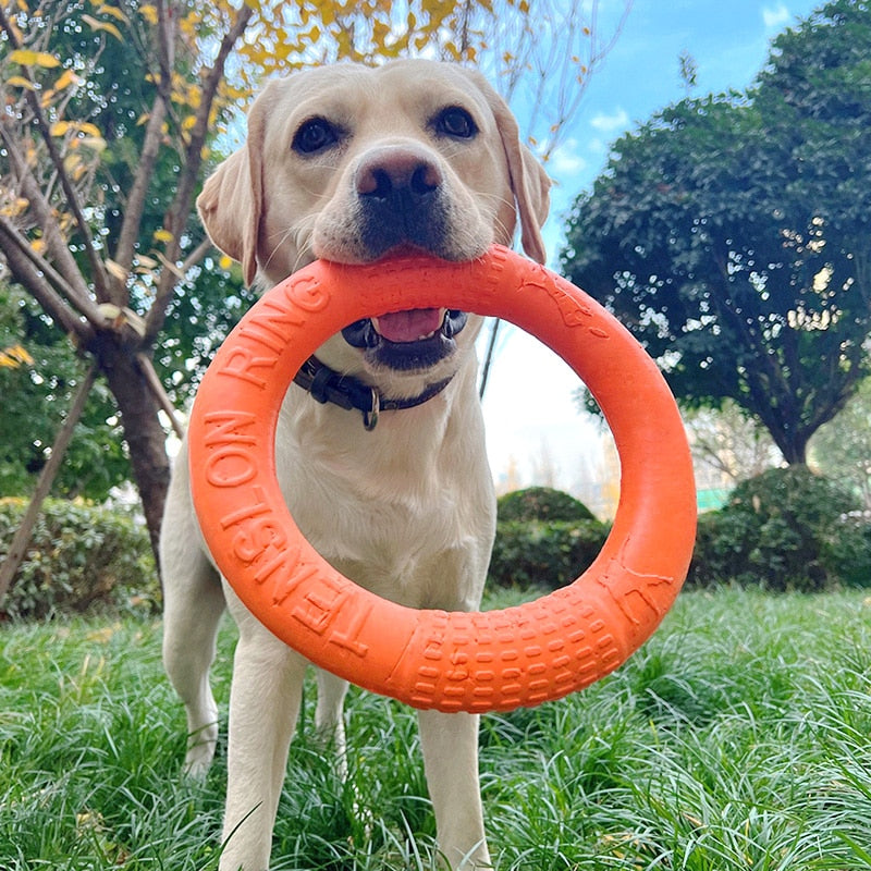 PETZZ™ Rubberen Ring - Eindeloos Speelplezier - Interactief Speelgoed