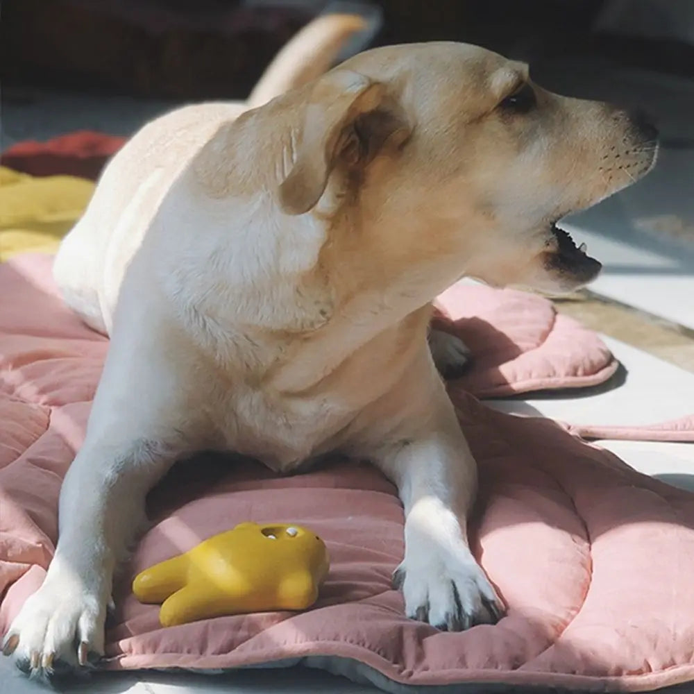 Opgevouwen PETZZ™ verkoelingsmat klaar voor vakantie