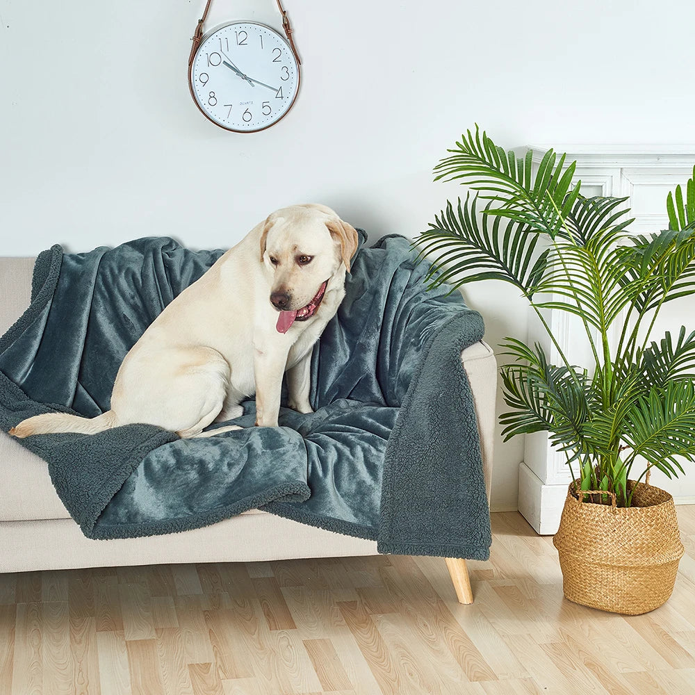 SnugSafe Waterproof Deken - Dekens en Manden voor Honden - Hondenhoek