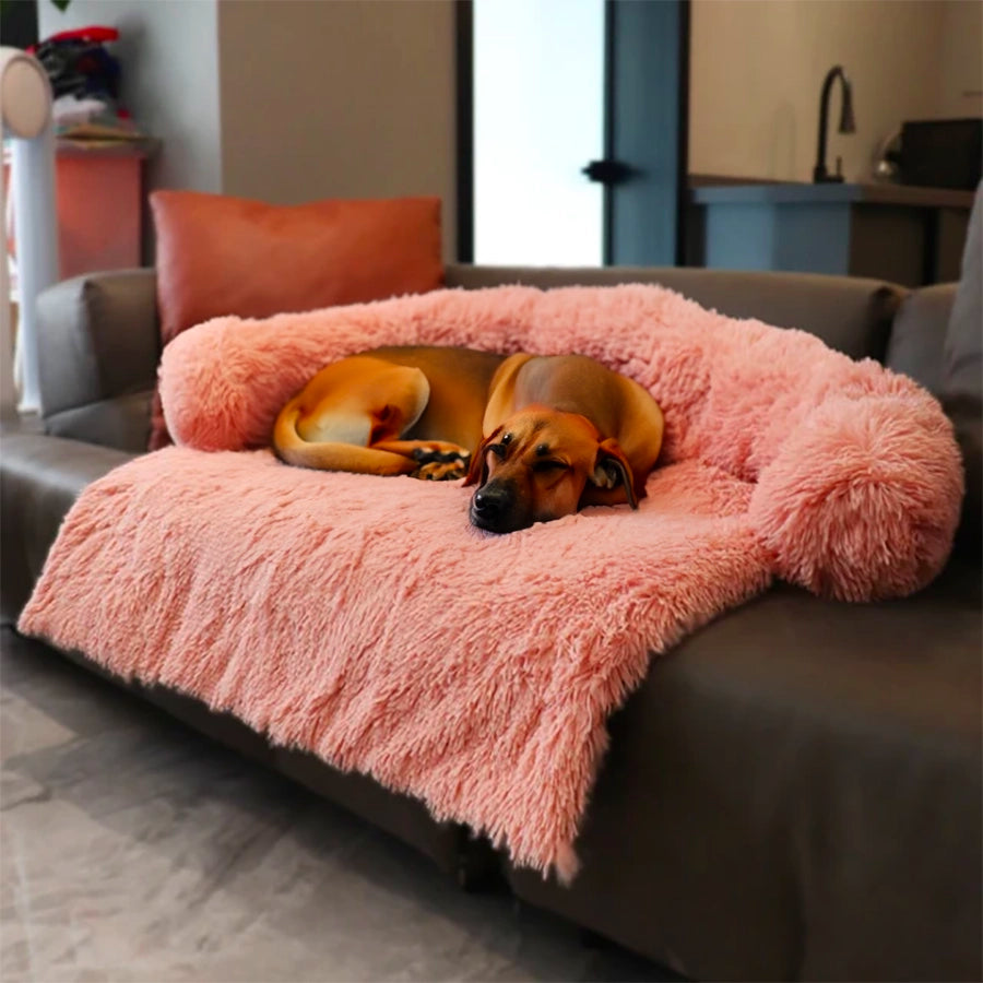 Canapé-lit PETZZ™ Deluxe pour chiens