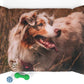 PETZZ™ Personaliseerbaar Hondenkussen - Relaxen voor uw Honden
