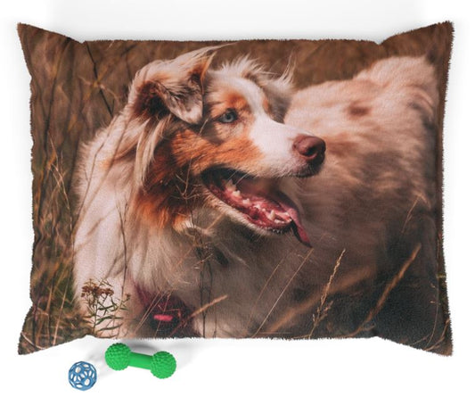 PETZZ™ Personaliseerbaar Hondenkussen - Relaxen voor uw Honden