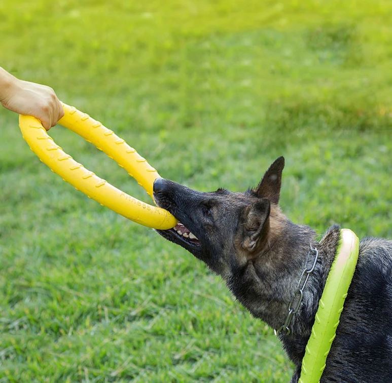 PETZZ™ Rubberen Ring - Eindeloos Speelplezier - Interactief Speelgoed