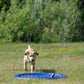 Petzz Water Sprinkler - Verkoeling en zwemplezier voor uw hond