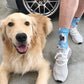 Gepersonaliseerde Sokken - Sokjes met foto van Hond - Online Winkelen