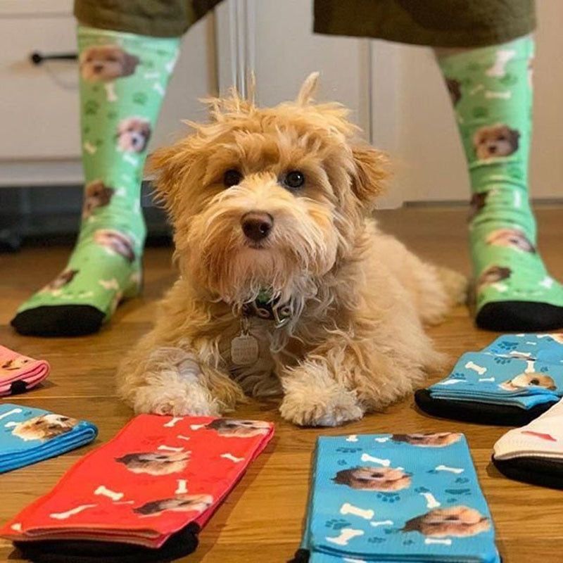 Gepersonaliseerde Sokken - Sokjes met foto van Hond - Online Winkelen