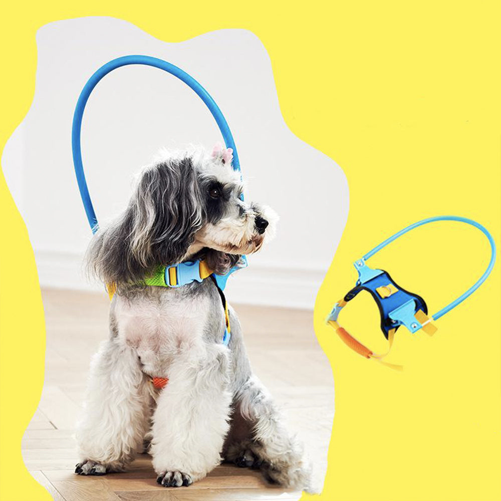 Hulp voor blinde honden - anti-botsingsring voor niet-zichtbare honden Hulp voor blinde honden - anti-botsingsring voor niet-zichtbare honden