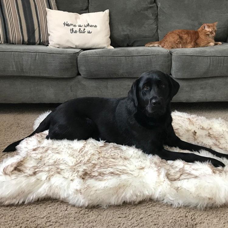 Memory Foam+ Hondenbed - Perfecte Bedden voor Honden - Hondenhoek