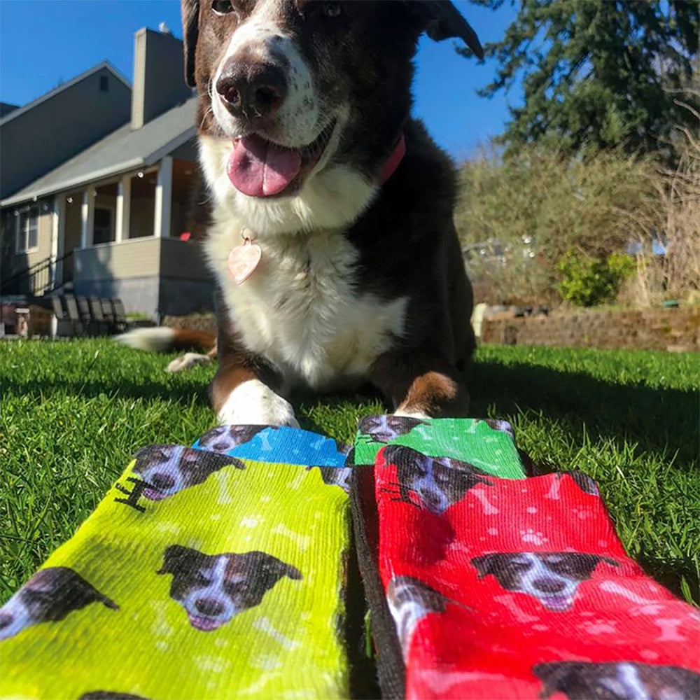 Gepersonaliseerde Sokken - Sokjes met foto van Hond - Online Winkelen